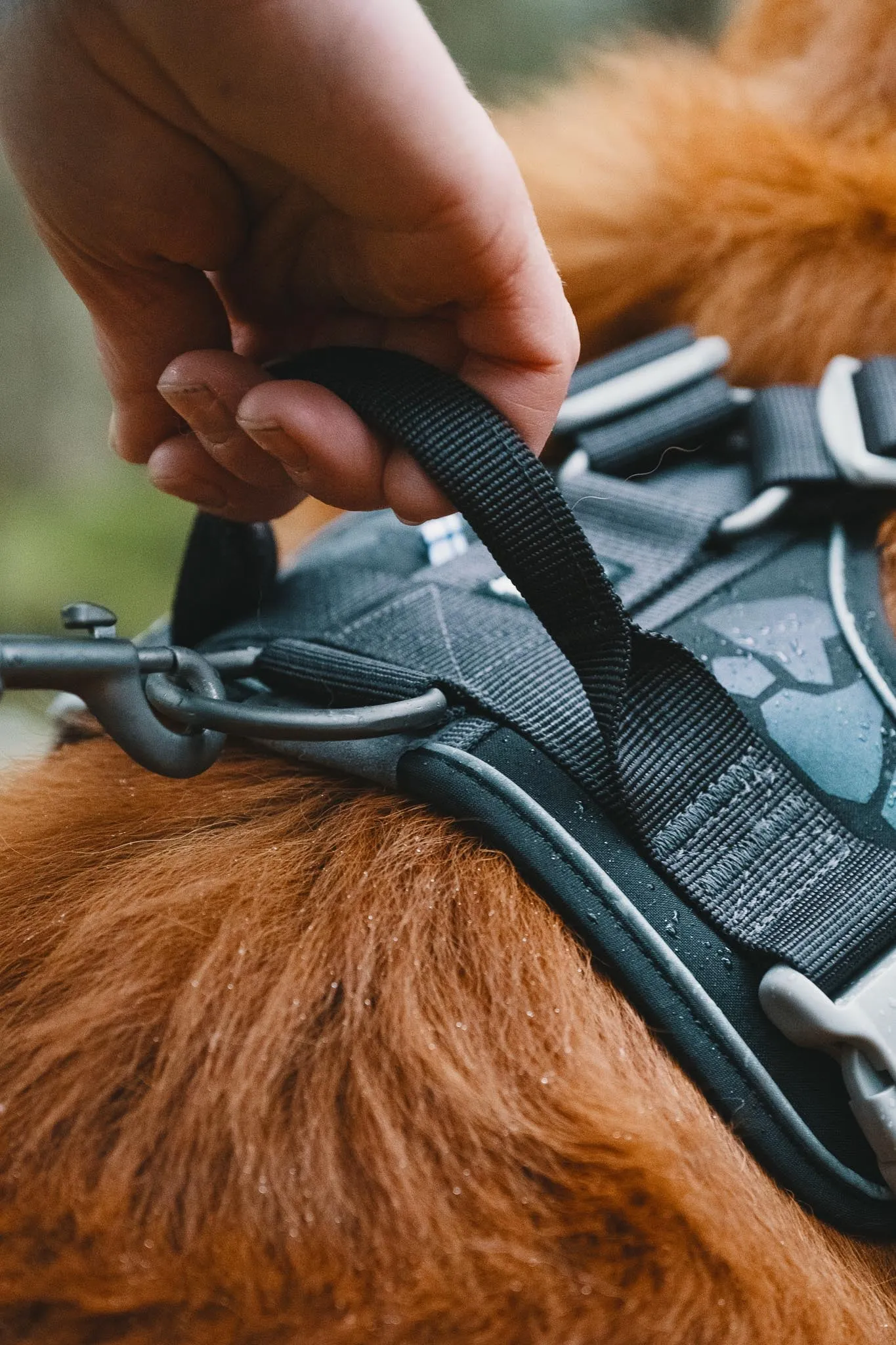 Hurtta Dog Harness: Weekend Warrior, Desert